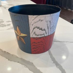 Texas plastic bucket/planter.